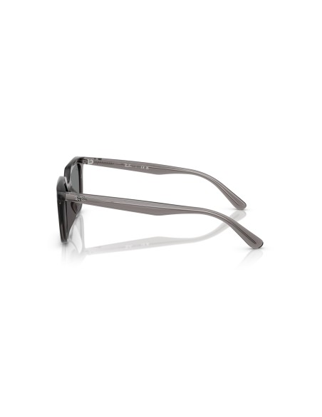 RAY-BAN - RB4439D - 667587 - 54