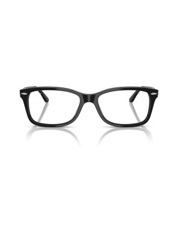 RAY-BAN - RX5428 - 2000 - 53 2