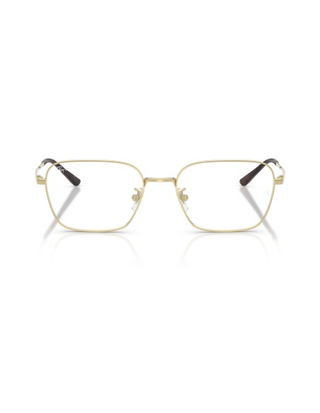 RAY-BAN  - RX8784D - 1251 - 54