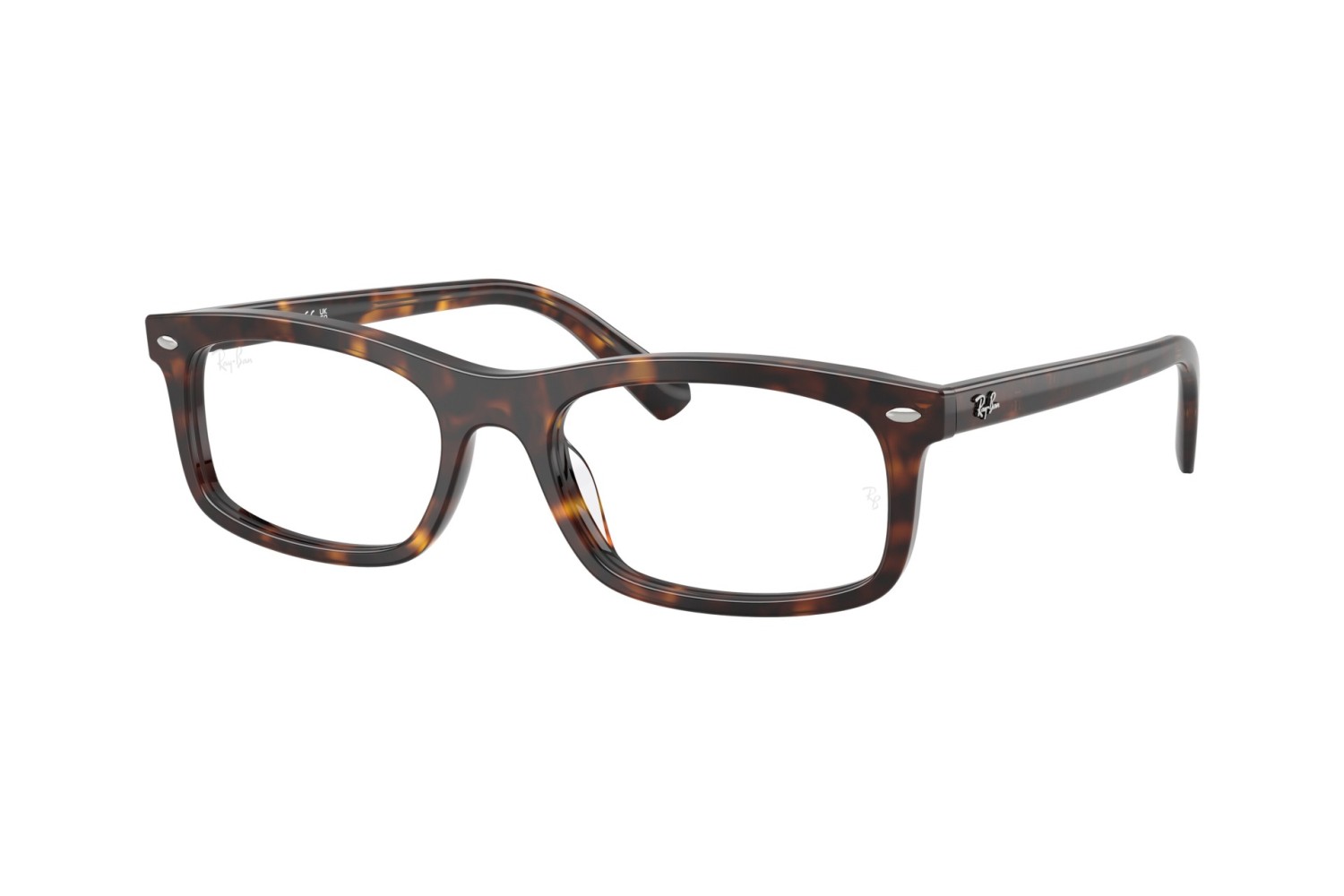 RAY-BAN  - RX5450 - 2012 - 54