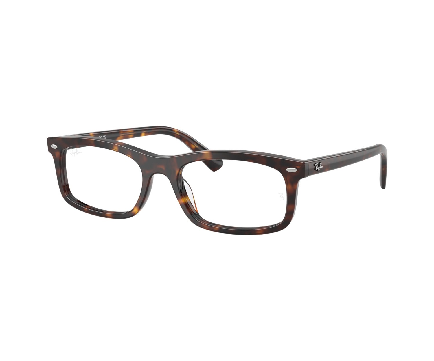 RAY-BAN  - RX5450 - 2012 - 54