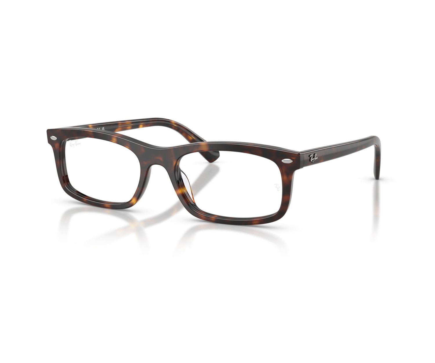 RAY-BAN  - RX5450 - 2012 - 54