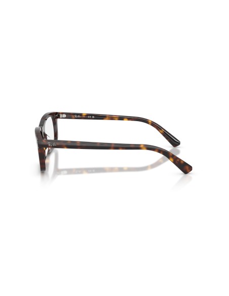 RAY-BAN  - RX5450 - 2012 - 54
