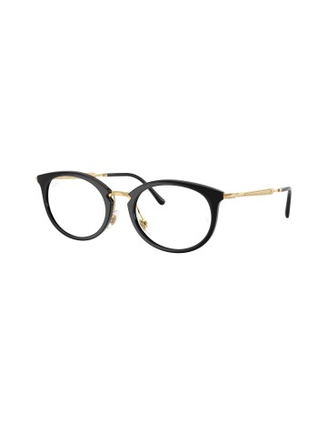 RAY-BAN  - RX7255 - 2000 - 53