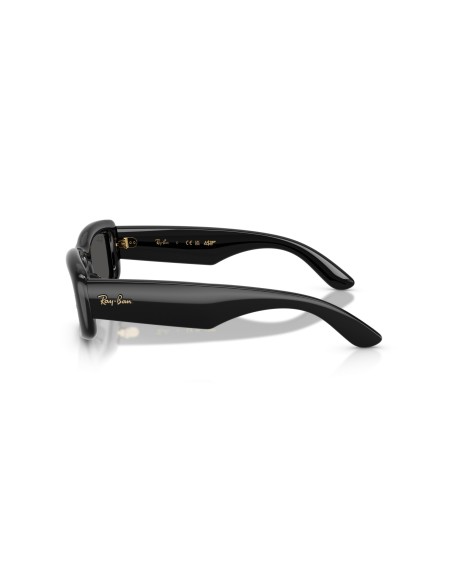 RAY-BAN - RB4944 - 601/87 - 55