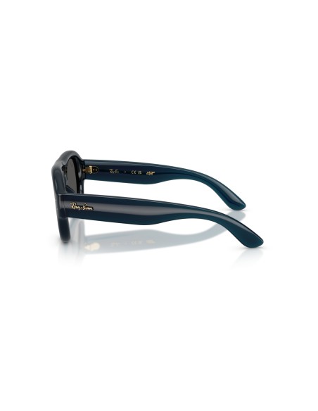 RAY-BAN - RB4925 - 689587 - 52