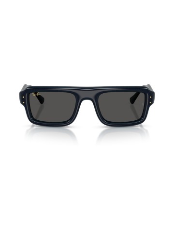 RAY-BAN - RB4954 - 689587 - 54 2