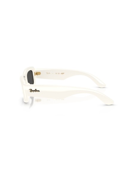 RAY-BAN - RB4944 - 687487 - 55