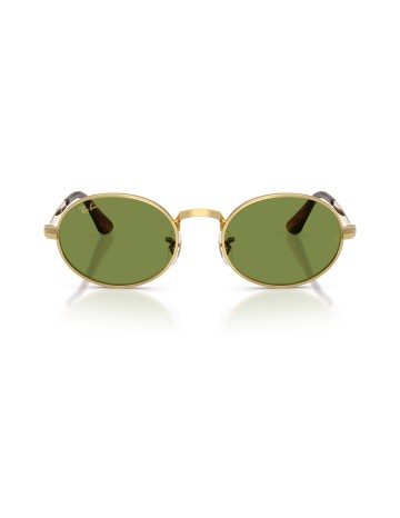 RAY-BAN - RB3931 - 001/4E - 54 2