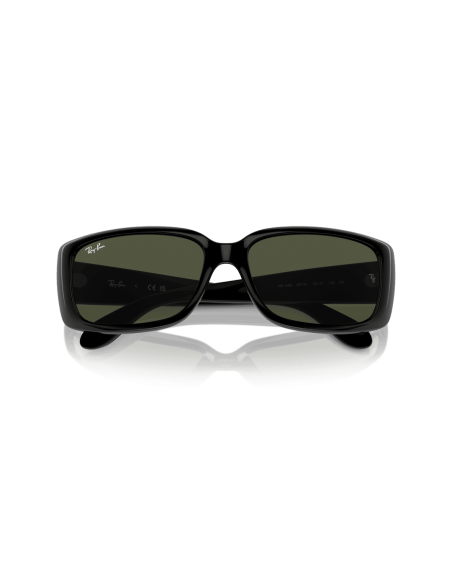 0RB4389__601_31__P21__shad__cfr