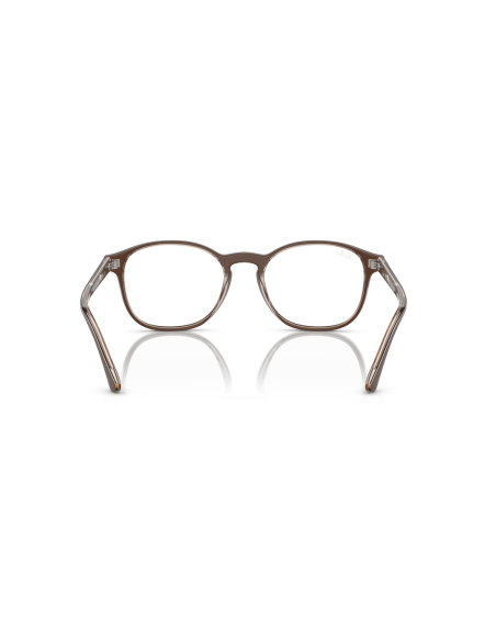 0RX5417__8365__P21__shad__bk