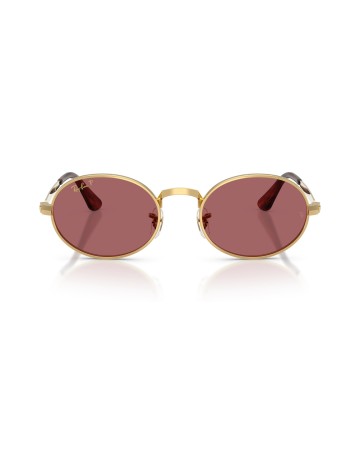 RAY-BAN - RB3931 - 001/AF - 54 2