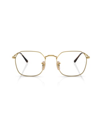 RAY-BAN  - JIM - RX3694V - 2500 - 53 2