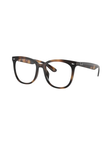 RAY-BAN - RX4379VD - 2012 - 53