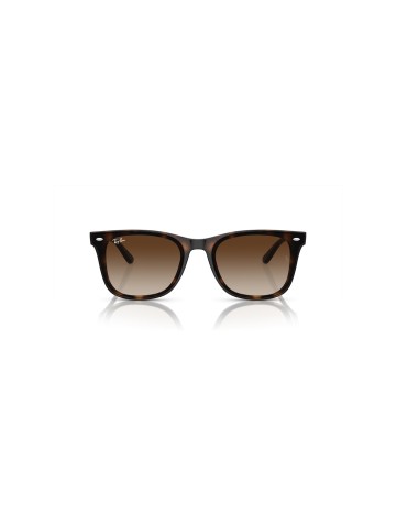 RAY-BAN - RB4420 - 710/13 - 65 2