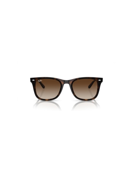 RAY-BAN - RB4420 - 710/13 - 65