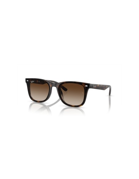 RAY-BAN - RB4420 - 710/13 - 65