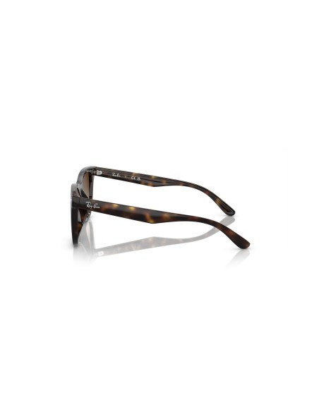 RAY-BAN - RB4420 - 710/13 - 65