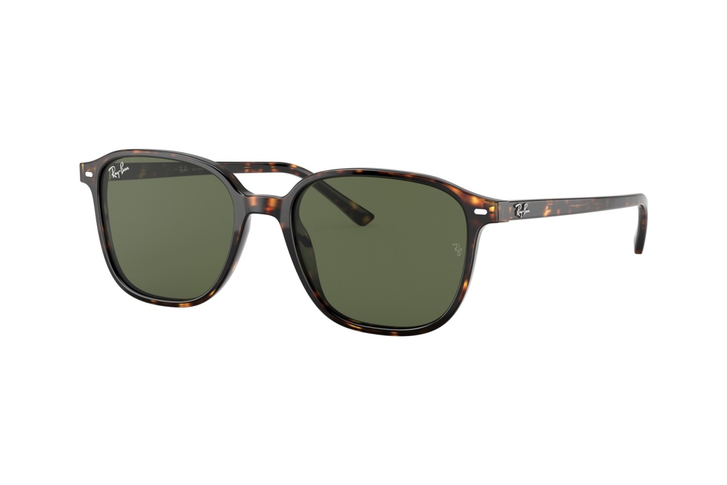 RAY-BAN - LEONARD - RB2193 - 902/31 - 53