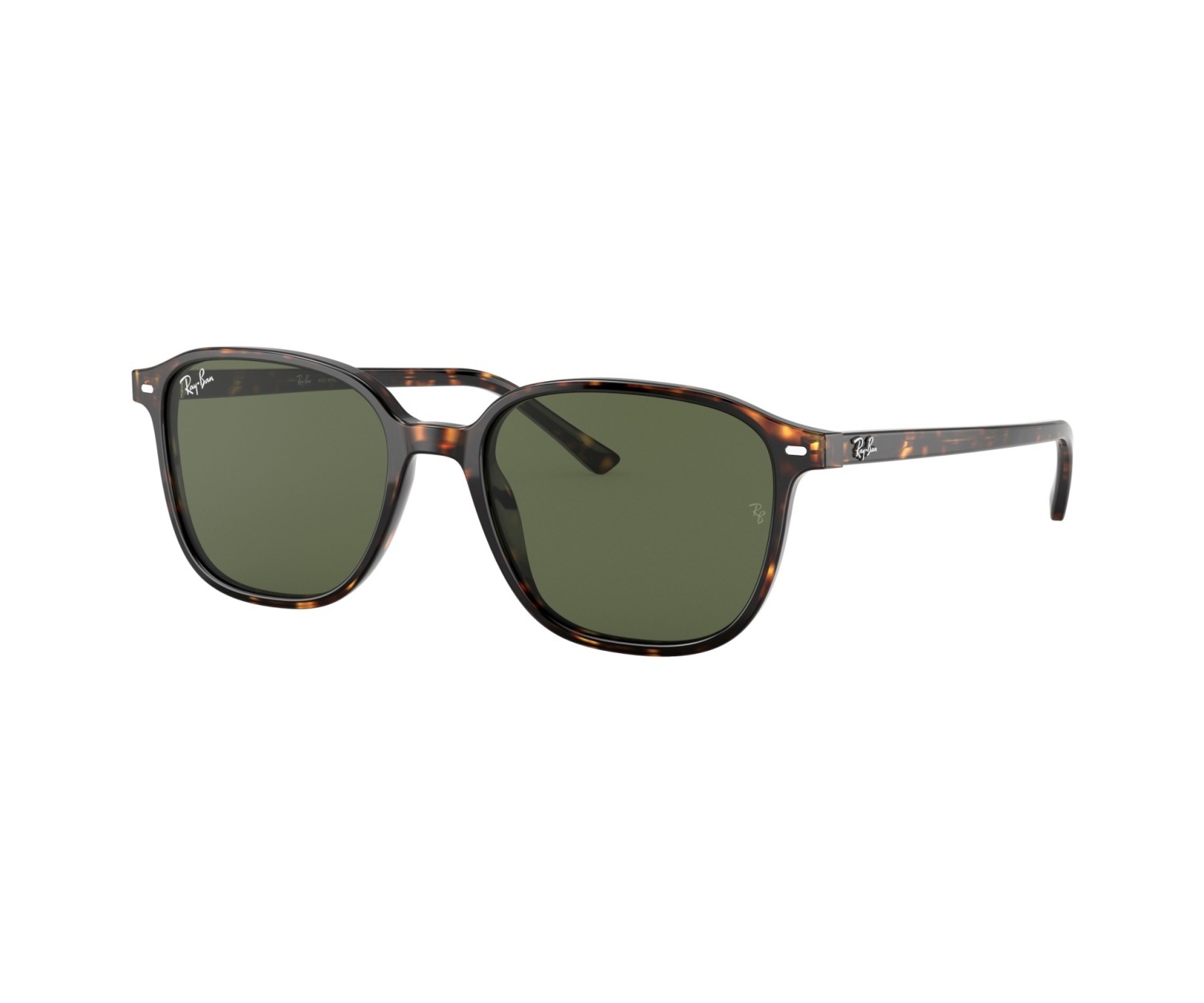 RAY-BAN - LEONARD - RB2193 - 902/31 - 53