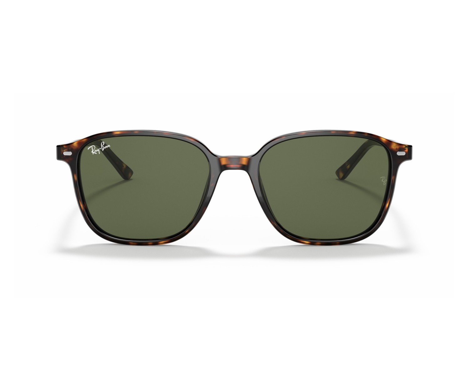 RAY-BAN - LEONARD - RB2193 - 902/31 - 53
