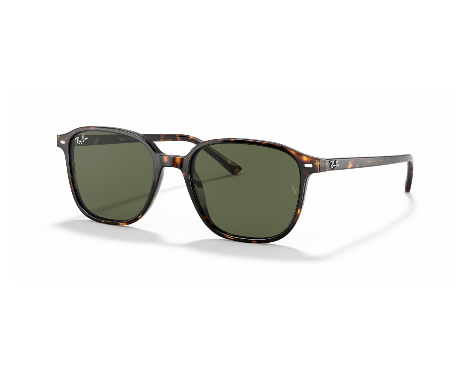 RAY-BAN - LEONARD - RB2193 - 902/31 - 53