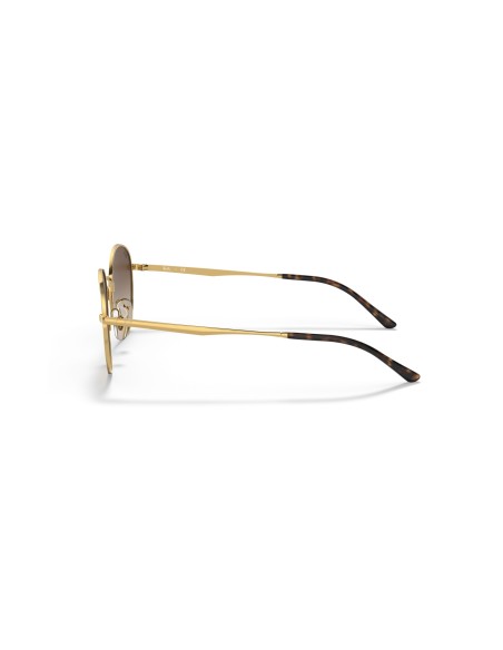 RAY-BAN - RB3681 - 001/13 - 50