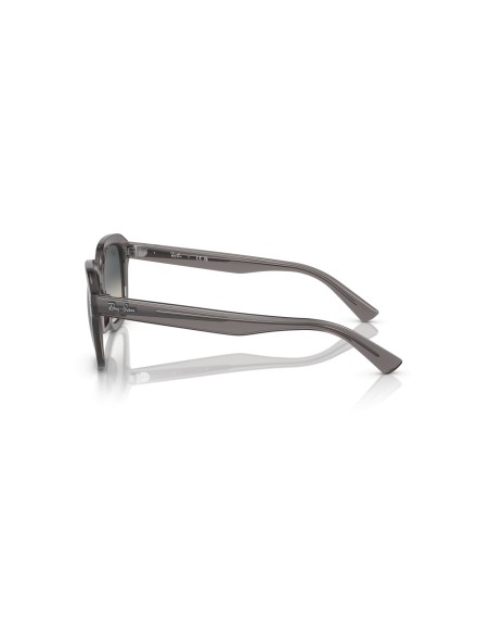 RAY-BAN - ERIK - RB4398 - 667571 - 51
