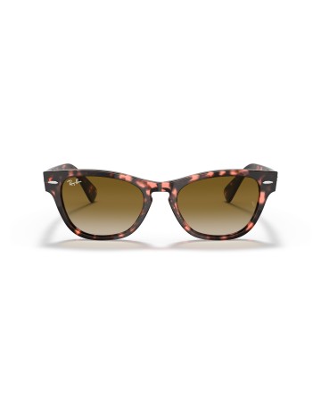 RAY-BAN - LARAMIE - RB2201 - 133451 - 54 2