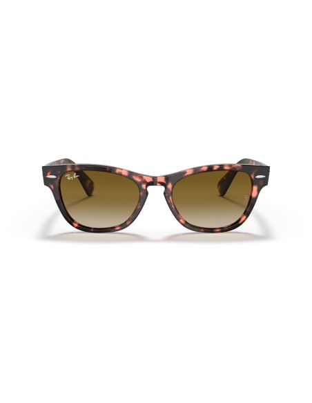 RAY-BAN - LARAMIE - RB2201 - 133451 - 54