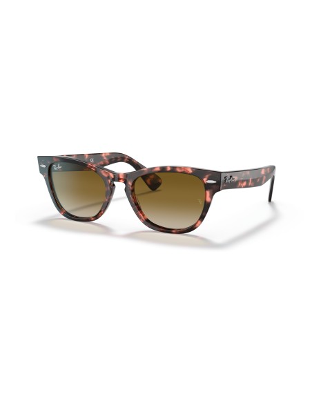 RAY-BAN - LARAMIE - RB2201 - 133451 - 54