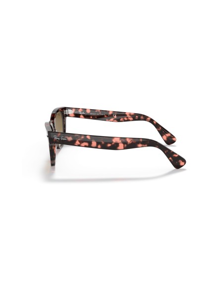 RAY-BAN - LARAMIE - RB2201 - 133451 - 54