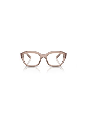 RAY-BAN - LEONID - RX7225 - 8317 - 52 2