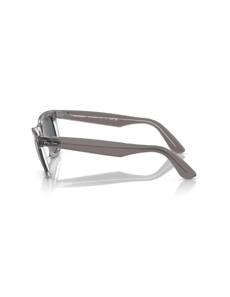 0RB2140__1355R5__P21__shad__lt