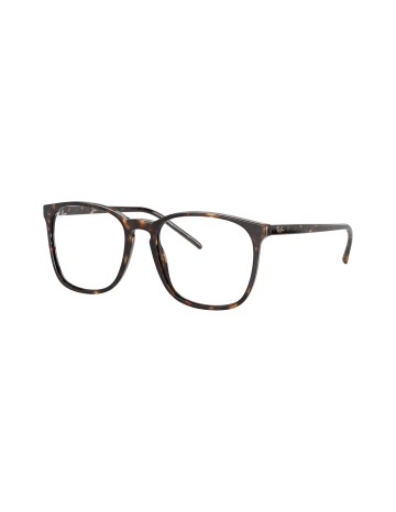 RAY-BAN - RX5387 - 2012 - 54