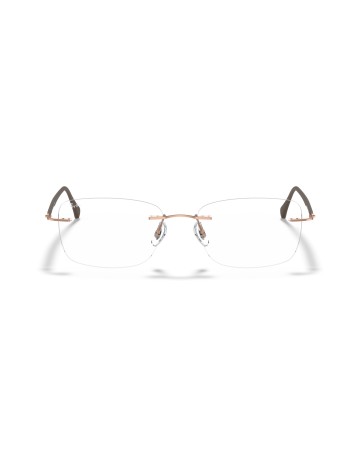 RAY-BAN - RX8725 - 1131 - 54 2