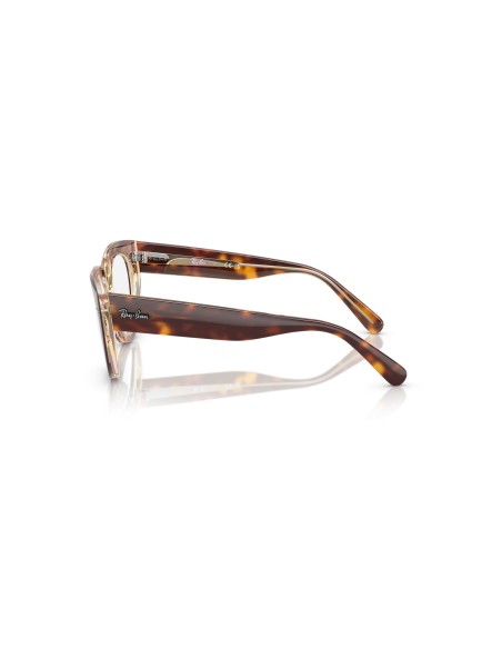 RAY-BAN - DOREEN - RX5586 - 8402 - 48