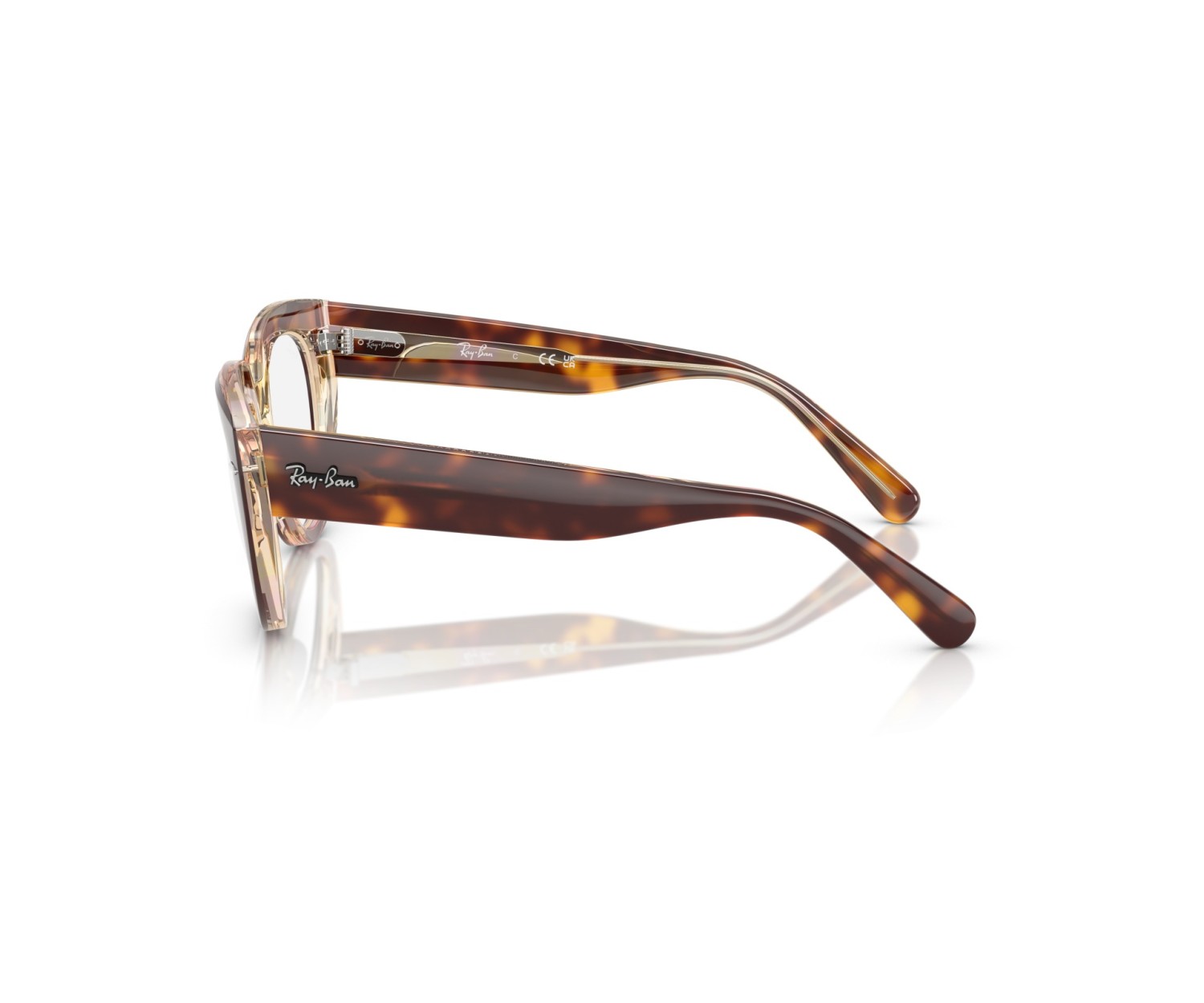 RAY-BAN - DOREEN - RX5586 - 8402 - 50