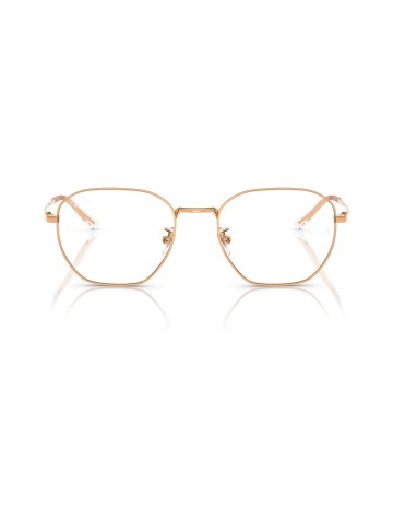 RAY-BAN - RX8777D - 1248 - 53 2