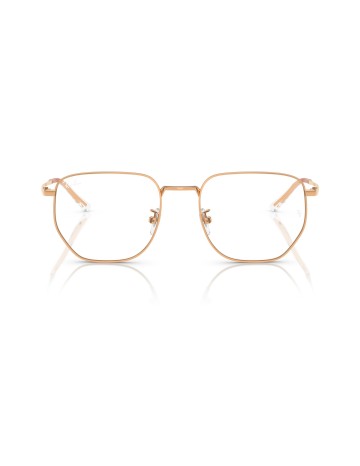 RAY-BAN - RX8776D - 1248 - 53 2