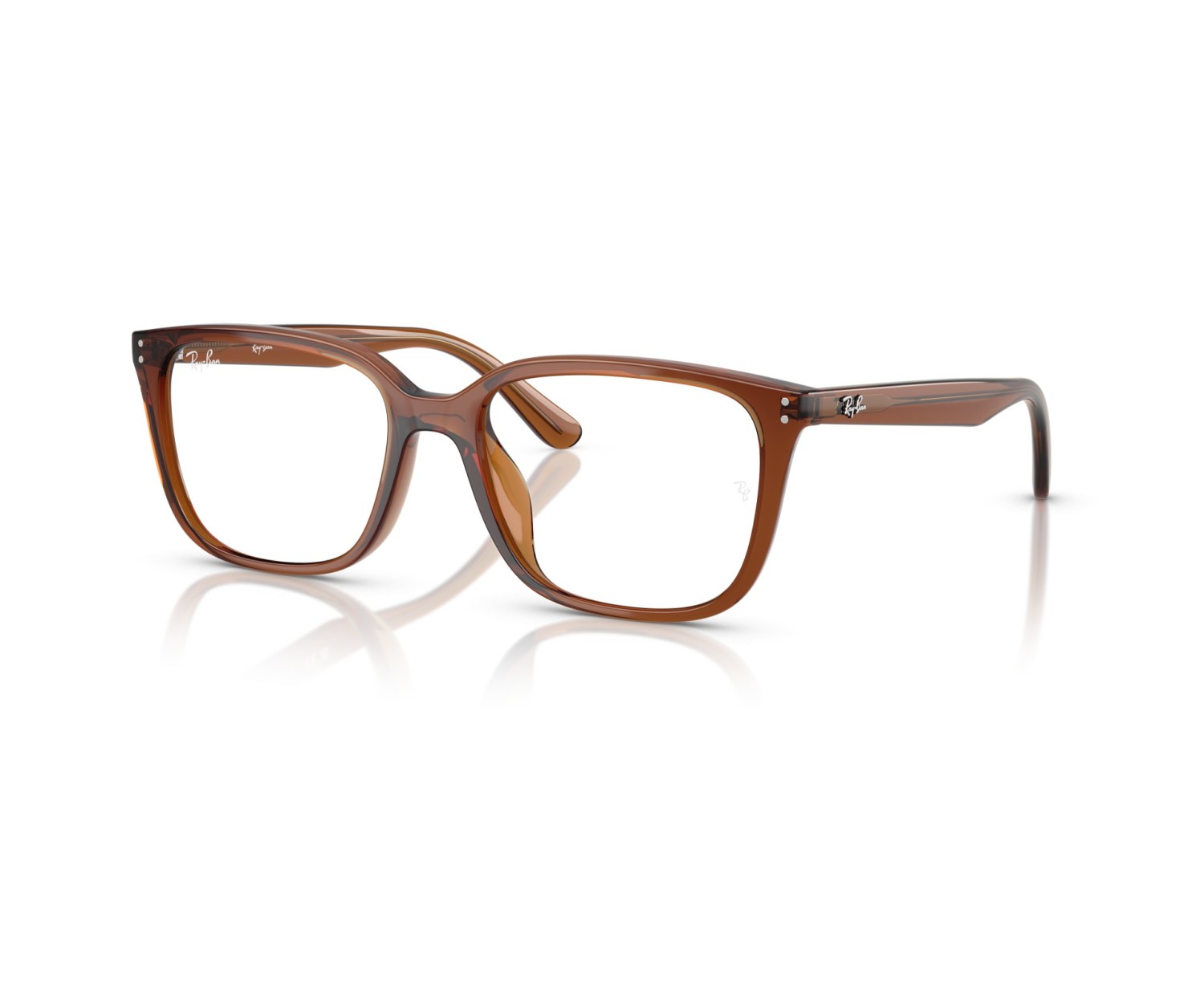 RAY-BAN  - RX7248D - 8409 - 55