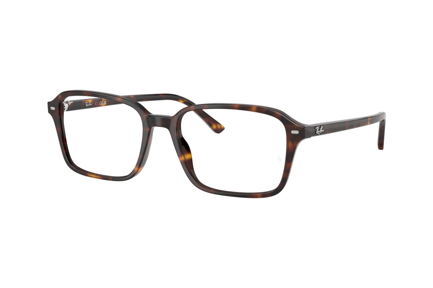 RAY-BAN - RAIMOND - RX5431 - 2012 - 54