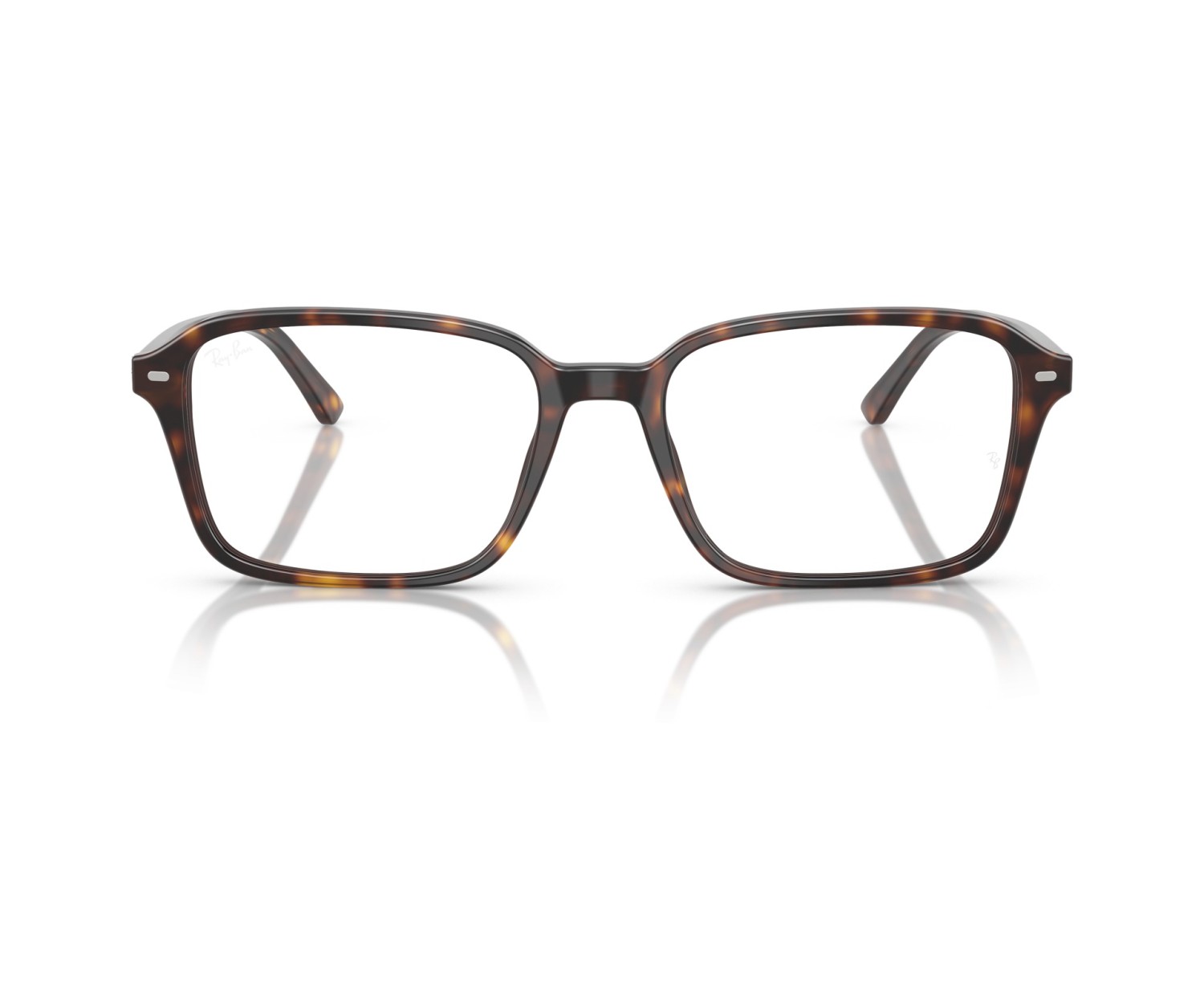 RAY-BAN - RAIMOND - RX5431 - 2012 - 54