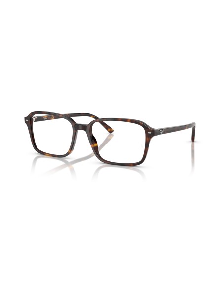 RAY-BAN - RAIMOND - RX5431 - 2012 - 54