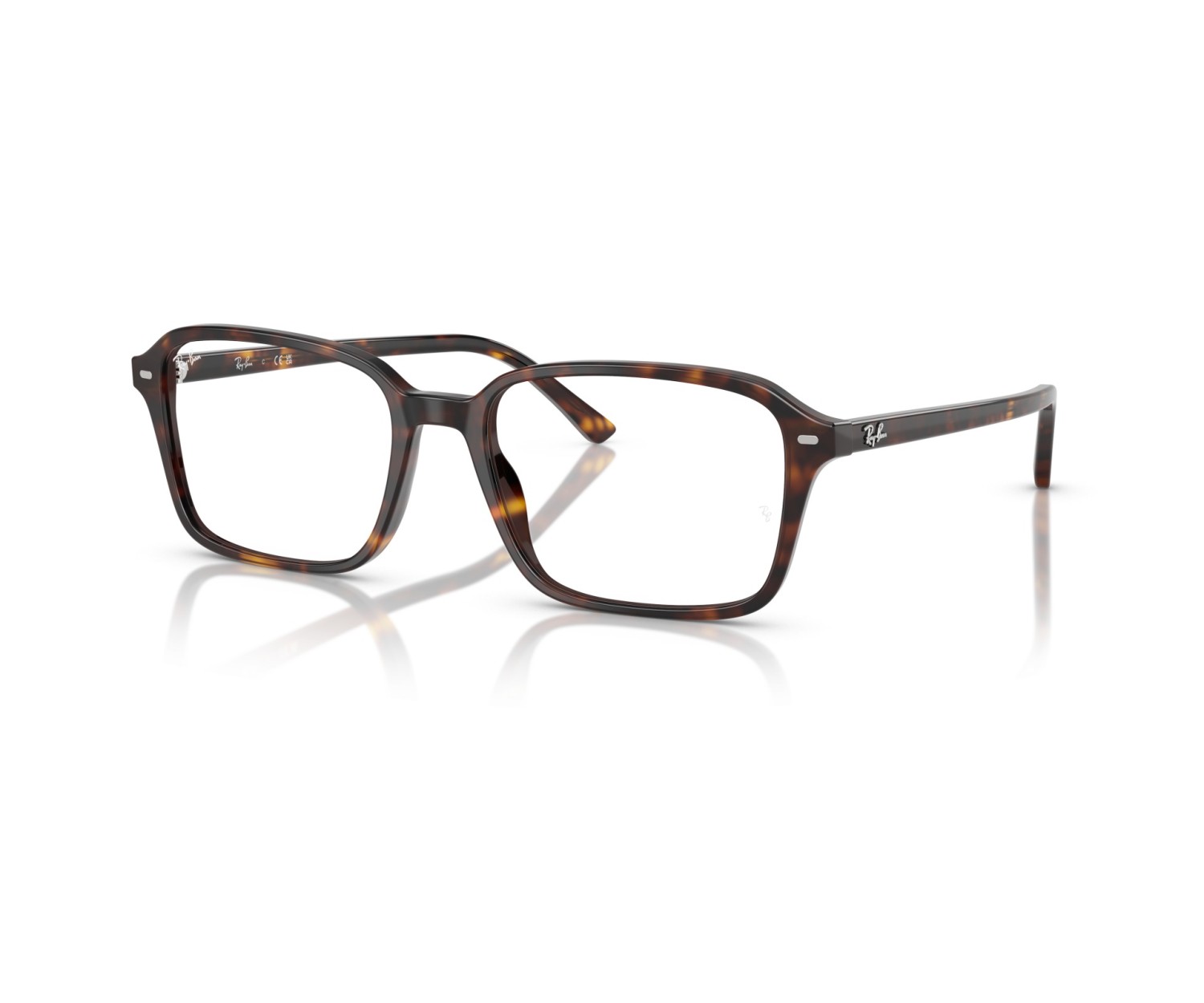 RAY-BAN - RAIMOND - RX5431 - 2012 - 54