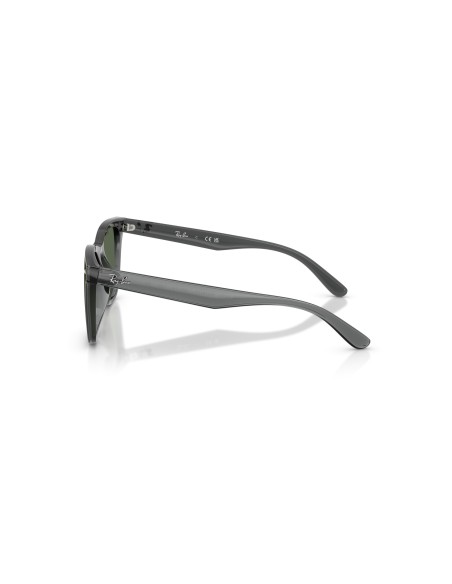 RAY-BAN - RB4420 - 691971 - 65