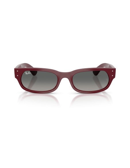 RAY-BAN - RB2236 - 689971 - 54
