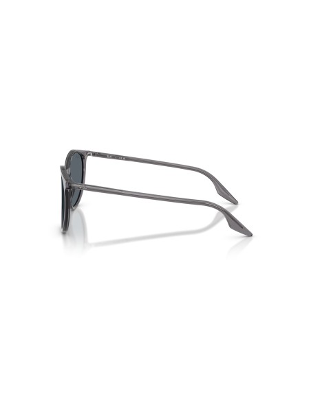 RAY-BAN - RB2204 - 1399R5 - 51