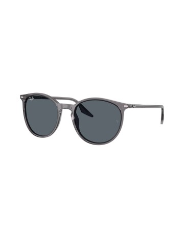 RAY-BAN - RB2204 - 1399R5 - 54