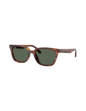 RAY-BAN - RB2243D - 954/71 - 55